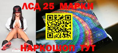 гашик Славгород