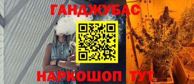 гашик Славгород