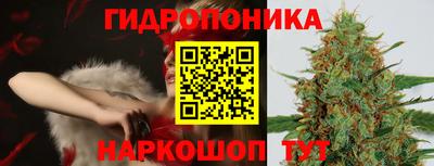 гашик Славгород
