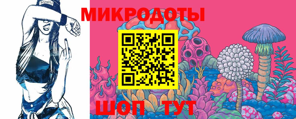 Псилоцибиновые грибы Psilocybine cubensis Наро-Фоминск