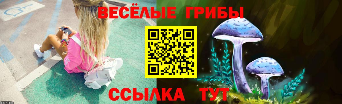 цена   Вход с VPN  Наро-Фоминск  Псилоцибиновые грибы Psilocybe 